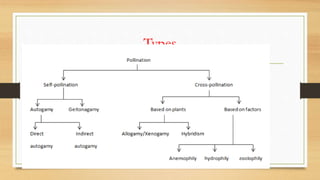 WHAT IS POLLINATION IN BIOLOGY CLASS 7 visual data 7