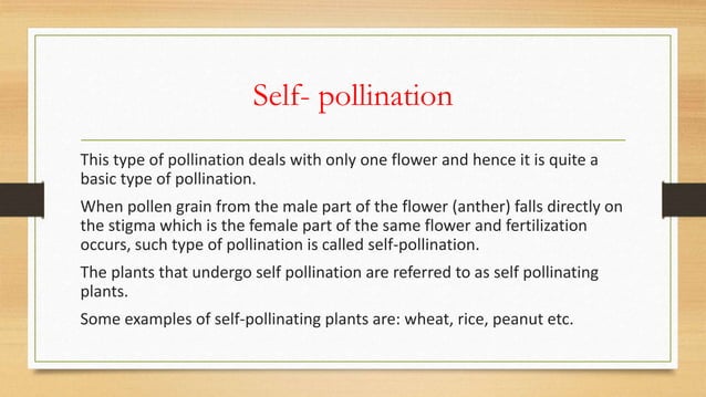 Pollination visual data 5