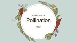 Pollination
Anusha Mishra ​
 