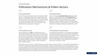 Poljen Example Pollination-in-Plants.pptxPollination-in-Plants.pptx