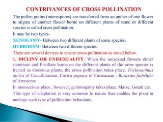 The pollen grains (microspores) are transferred from an anther of one flower
to stigma of another flower borne on different plants of same or different
species is called cross pollination.
It may be two types-
XENOGAMY- Between two different plants of same species,
HYBRIDISM- Between two different species
There are several devices to ensure cross pollination as stated below.
1. DICLINY OR UNISEXUALITY:
 
