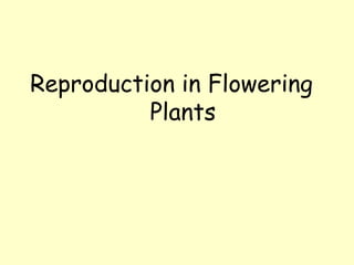 Reproduction in Flowering
Plants
 