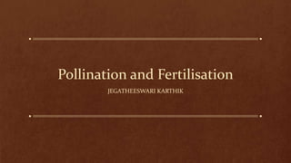 Pollination and Fertilisation
JEGATHEESWARI KARTHIK
 