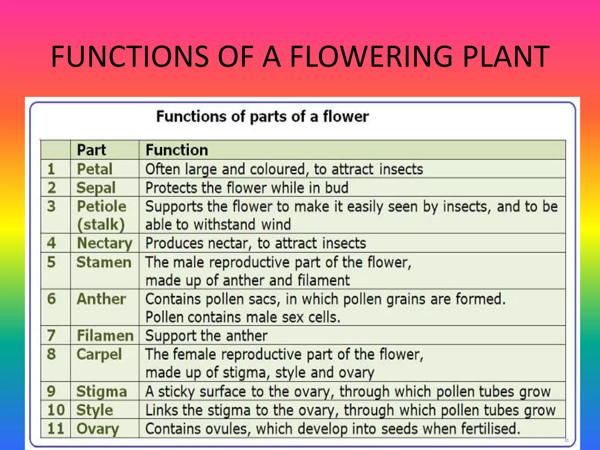FUNCTIONS OF A FLOWERING PLANT
 