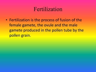 Fertilization
• Fertilization is the process of fusion of the
female gamete, the ovule and the male
gamete produced in the pollen tube by the
pollen grain.
 