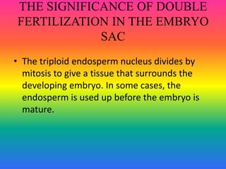 THE SIGNIFICANCE OF DOUBLE
FERTILIZATION IN THE EMBRYO
SAC
• The triploid endosperm nucleus divides by
mitosis to give a tissue that surrounds the
developing embryo. In some cases, the
endosperm is used up before the embryo is
mature.
 