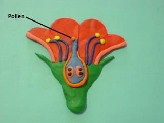Pollen