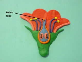PollenTube