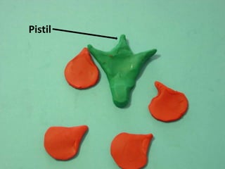 Pistil