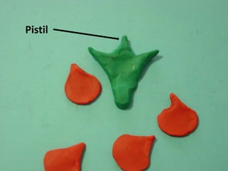   Pistil