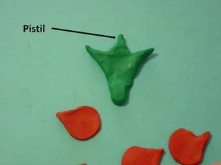 Pistil