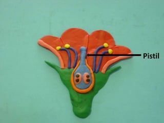    Pistil