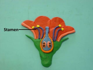 Stamen