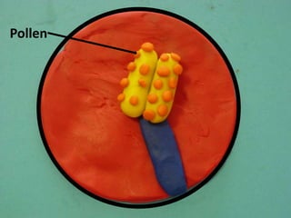 Pollen