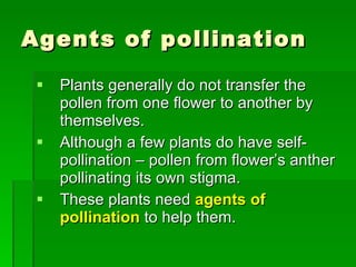 Agents of pollination Plants generally do not transfer the pollen from one flower to another by themselves. Although a few plants do have self-pollination – pollen from flower’s anther pollinating its own stigma. These plants need  agents of pollination  to help them. 
