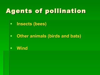 Agents of pollination Insects (bees) Other animals (birds and bats)  Wind  