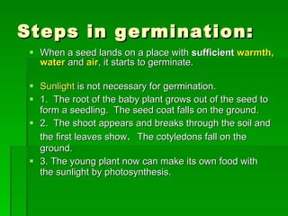 Steps in germination: When a seed lands on a place with  sufficient  warmth, water   and   air , it starts to germinate. Sunlight  is not necessary for germination. 1.  The root of the baby plant grows out of the seed to form a seedling.  The seed coat falls on the ground. 2.  The shoot appears and breaks through the soil and the first leaves show .  The cotyledons fall on the ground. 3. The young plant now can make its own food with  the sunlight by photosynthesis. 
