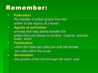Remember: Pollination - the transfer of pollen grains from the  anther to the stigma of a flower. Agents of pollination - animals that help plants transfer the  pollen from one flower to another  (insects, animals, water, wind) Fertilisation - when the male sex cells join with the female  sex cells within the ovule. Germination - the growth of the root through the seed  coat. 