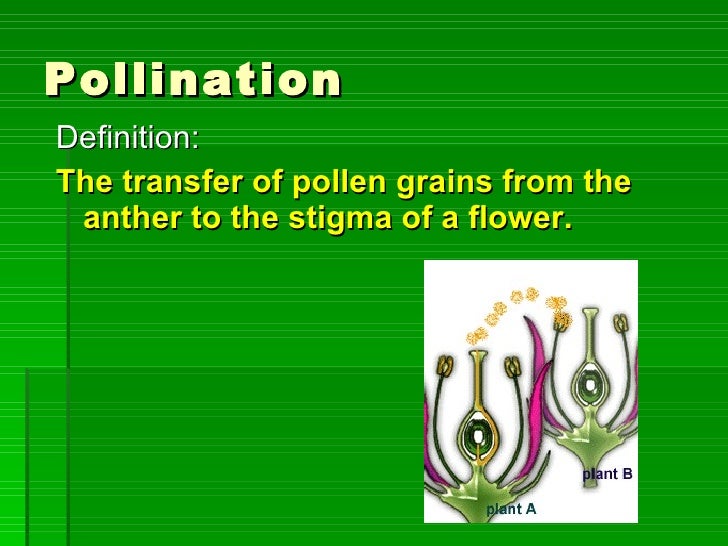 Pollination Definition