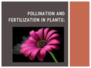 POLLINATION AND
FERTILIZATION IN PLANTS:
 