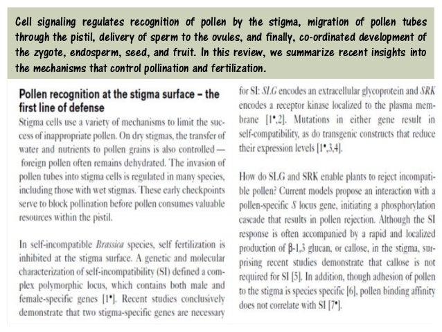 Pollination & Fertilization in Plants