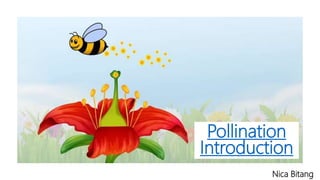 Pollination
Introduction
Nica Bitang
 