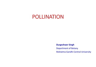 POLLINATION
Durgeshwer Singh
Department of Botany
Mahatma Gandhi Central University
 