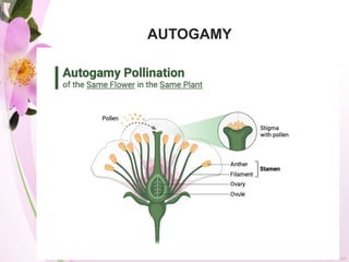 Pollination presentation is a good idea for lovers of biology | PPTX