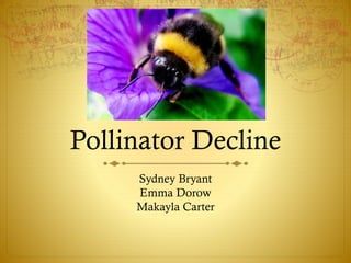 Pollinator Decline
Sydney Bryant
Emma Dorow
Makayla Carter
 