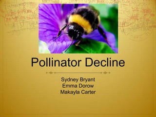 Pollinator Decline
Sydney Bryant
Emma Dorow
Makayla Carter
 