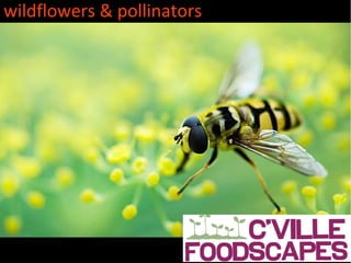 wildflowers & pollinators




                            c'ville foodscapes
 