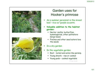 5/20/2013
107
© Project SOUND
Garden uses for
Hooker’s primrose
 As a summer perennial in the mixed
bed – nice w/ purple ...