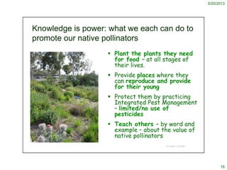5/20/2013
16
© Project SOUND
Knowledge is power: what we each can do to
promote our native pollinators
 Plant the plants ...