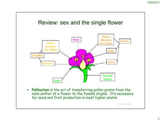 5/20/2013
3
© Project SOUND
Review: sex and the single flower
 Pollination is the act of transferring pollen grains from ...