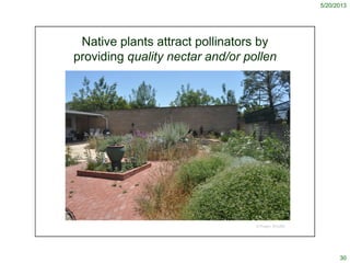 5/20/2013
30
© Project SOUND
Native plants attract pollinators by
providing quality nectar and/or pollen
 