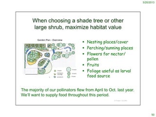 5/20/2013
50
When choosing a shade tree or other
large shrub, maximize habitat value
 Nesting places/cover
 Perching/sun...