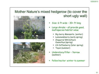 5/20/2013
51
Mother Nature’s mixed hedgerow (to cover the
short ugly wall)
 Size: 6 ft wide – 30+ ft long
 Large shrubs ...