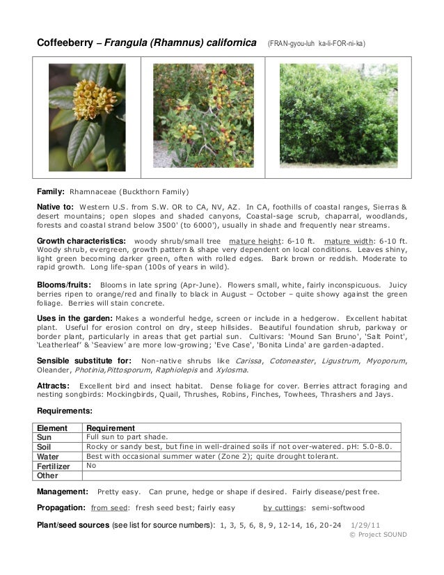 Pollinators 2013 gardening sheets