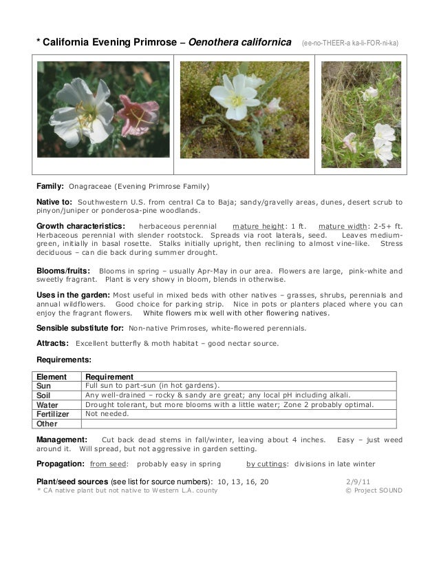 Pollinators 2013 gardening sheets