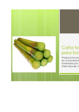 Pollinaza mas proteina 