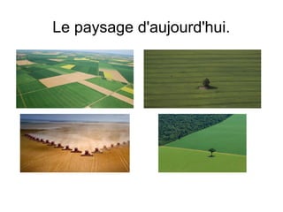 Le paysage d'aujourd'hui.
 