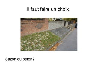 Il faut faire un choix
Gazon ou béton?
 
