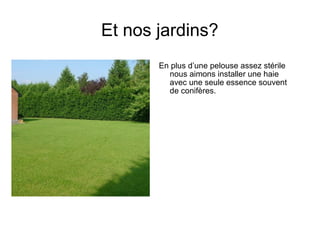 Et nos jardins?
En plus d’une pelouse assez stérile
nous aimons installer une haie
avec une seule essence souvent
de conifères.
 