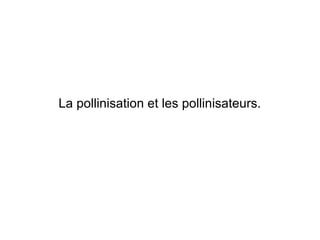 La pollinisation et les pollinisateurs.
 
