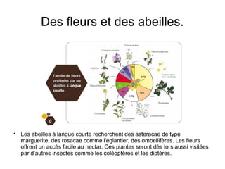 Des fleurs et des abeilles.

Les abeilles à langue courte recherchent des asteracae de type
marguerite, des rosacae comme l'églantier, des ombellifères. Les fleurs
offrent un accès facile au nectar. Ces plantes seront dès lors aussi visitées
par d’autres insectes comme les coléoptères et les diptères.
 