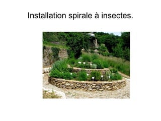 Installation spirale à insectes.
 