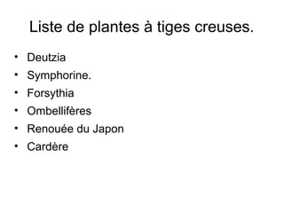 Liste de plantes à tiges creuses.
• Deutzia
• Symphorine.
• Forsythia
• Ombellifères
• Renouée du Japon
• Cardère
 