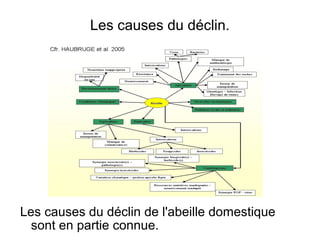 Les causes du déclin.
Les causes du déclin de l'abeille domestique
sont en partie connue.
 