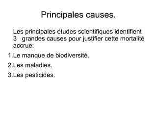 Principales causes.
Les principales études scientifiques identifient
3 grandes causes pour justifier cette mortalité
accrue:
1.Le manque de biodiversité.
2.Les maladies.
3.Les pesticides.
 
