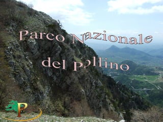 Parco Nazionale  del Pollino 